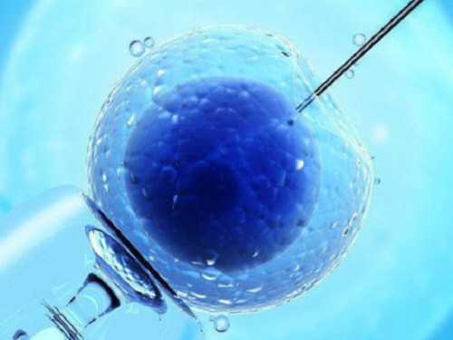 深圳代孕成功率-深圳试管婴儿代孕qq群-深圳代孕公司