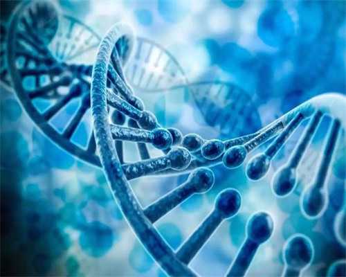 石家庄公立三甲供卵试管医院名单出炉，正规合法你值得拥有