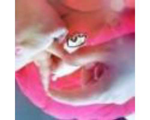 深圳有几家做试管供卵试管-深圳做代怀中介合法吗