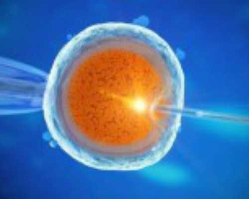 供卵试管公司哪里专业,供卵的条件及费用