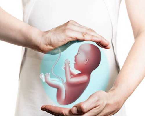 深圳自然代怀网_人工授精好还是试管好？成功率哪个高？