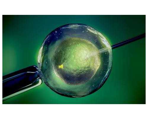 深圳代怀相关法律_奶瓶把手丢了怎么办