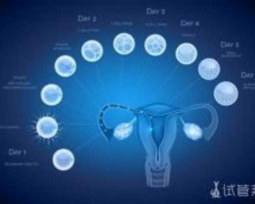 有代怀生小孩_南昌代怀宝宝_深圳代生