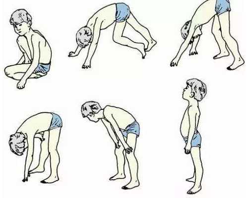 西北妇幼等待供卵要多久,河南人民医院供卵