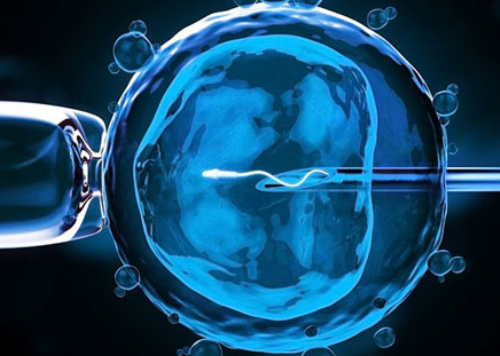 宁波供卵价格多少,【深圳供卵流程 南宁供卵价格】说说自己的备孕两年半的辛