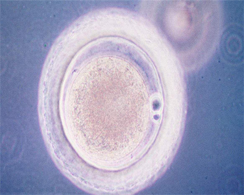 如何缓解备孕压力，如何缓解压力和焦虑