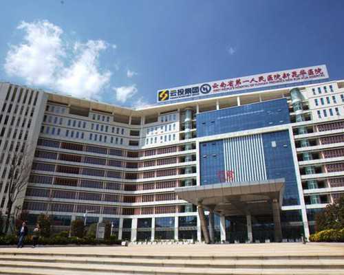 深圳要找助孕公司嘛,深圳三代试管婴儿可以放两个吗！大致需要多少钱！