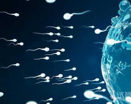 南宁助孕机构包生龙凤胎需要多少钱?