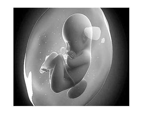 天津代孕可以接受吗_天津借卵生子的费用【国家权威代孕，孕育生命奇迹】