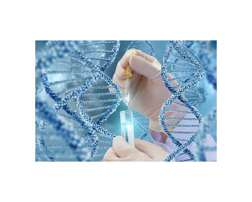 深圳代孕成功率_深圳代孕一般价格多少钱_深圳专业代孕价格