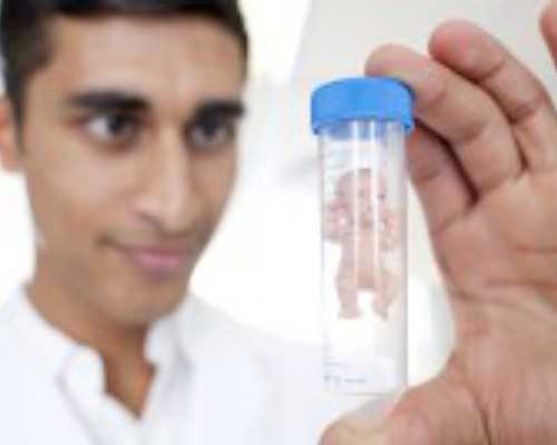 广东三代供卵试管婴儿医院成功率排名，广东供卵试管一次能够成功吗