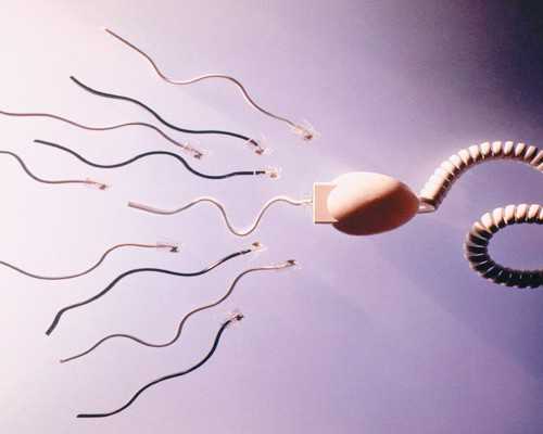 供卵时间要等多久，深圳恩鼎私立供卵机构可靠吗