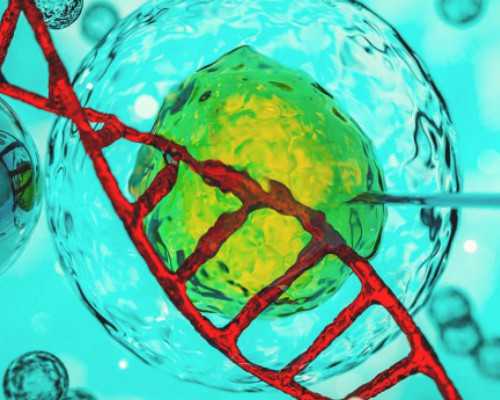 深圳供卵生子_深圳助孕产子多少钱【深圳助生孩子零风险，用专业孕育未来】