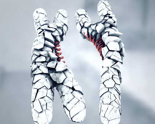 2026余姚试管婴儿医院大全，宁波供卵机构助孕策略参考