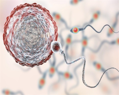 有靠谱的供卵试管,韩国相差17岁的“姐靠谱的试管供卵机构弟恋”女方尝试多次