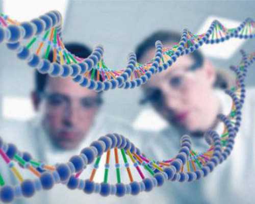 深圳供卵生子_深圳价格代孕多少钱_孕晚期胎心170是缺氧吗