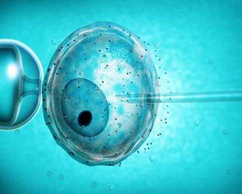 代孕的步骤_代孕胚胎发育不好的原因