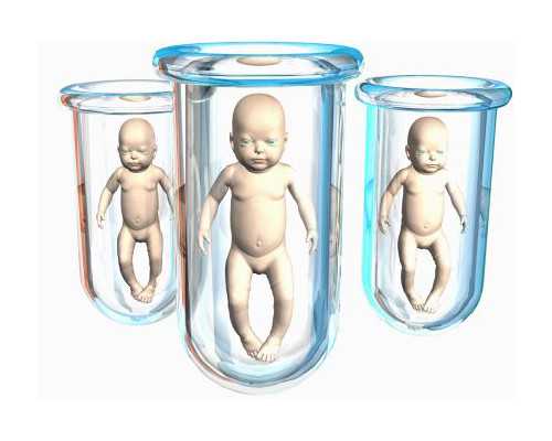 石家庄四院做供卵试管大概多少钱?附医院费用明细