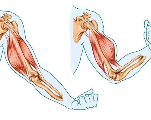 海丽亚医生出诊时间、挂号攻略，邵阳海丽亚供卵试管