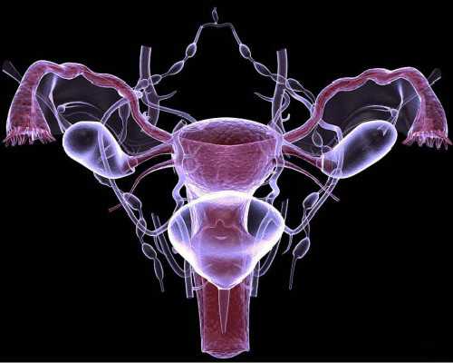广州借卵生子电话,【广州金贝供卵电话】迟到的小公主，记录我的生产经历