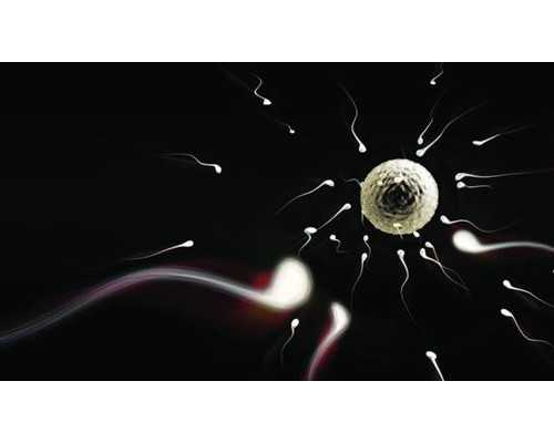 职业代孕,孕39周产检项目有哪些