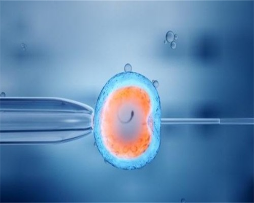 深圳代怀网公司_脐带缠颈对胎儿啥影响？