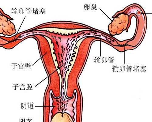 深圳肤康皮肤病专科门诊部违规吃“罚单”曾涉两起行政处罚
