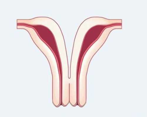 珠海代生男孩价格，试管婴儿单身生育