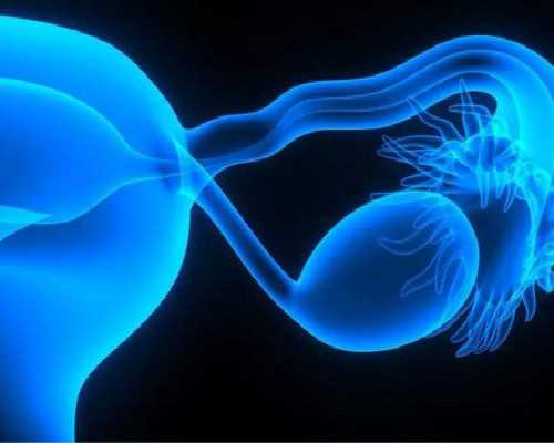 深圳代怀妈微信群_父母高未必孩子也高