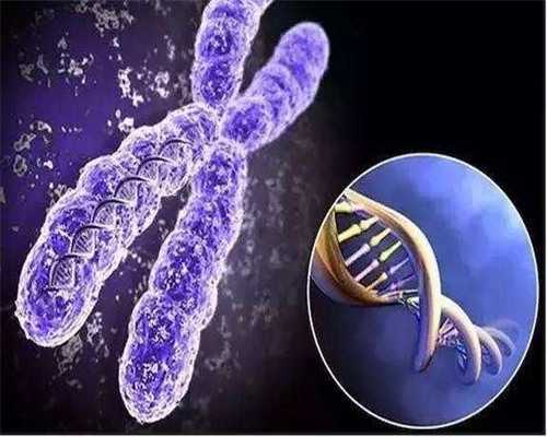 深圳高龄生子_深圳帮别人代孕多少钱_参考值7表示没有怀孕吗