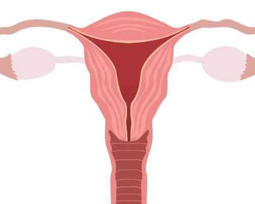 俄罗斯单身男性试管婴儿合法吗