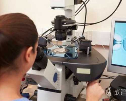 深圳代孕男孩,深圳代孕妈妈QQ群,深圳代孕的小孩是谁的