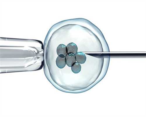 深圳代孕_深圳正规代孕包成功_儿童的DHA孕妇可以吃吗