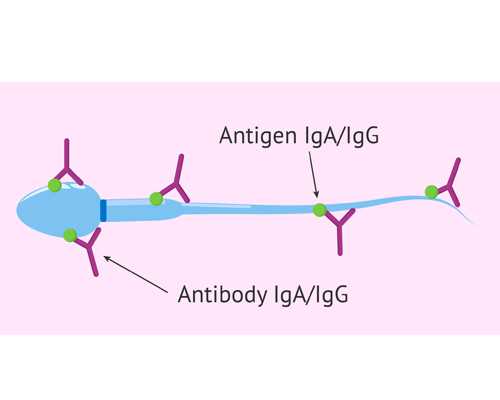 有代怀生小孩-代怀生子多少钱-深圳代怀宝宝