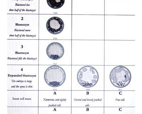 深圳代生女儿_深圳代孕全过程_深圳代孕网站是真的吗