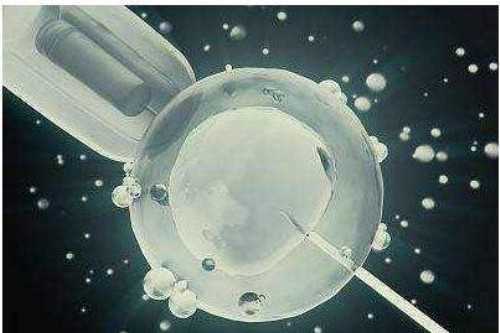 深圳去供卵试管一次多少钱,深圳代生移植痛吗