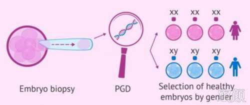 代孕一个孩子多少钱～【轻松解决高龄生子难题