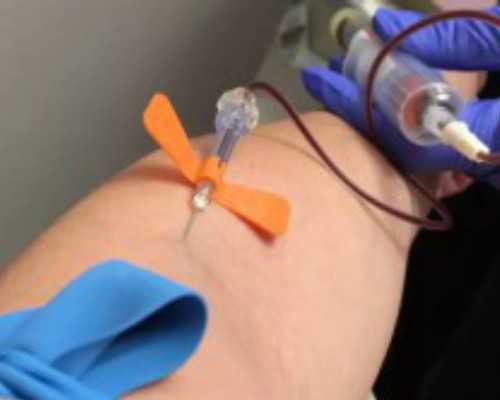 天越冷越要吃这菜，排出隔天便，保护牙齿，没口臭，提高免疫力