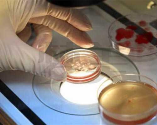 临汾第三代试管双胞胎要多少钱?临汾第三代试管双胞胎要多少钱呢?