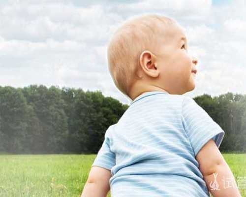 代孕价格 ,代孕吃虾米好吗