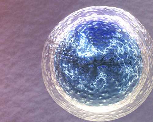 深圳代生孩子价格_深圳女子代孕多少钱_孕32周b超数据如何看男女