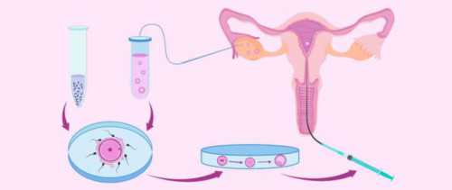 深圳代生混血,【深圳16名学生感染诺如病毒】深圳16名学生感染诺如病毒怎么