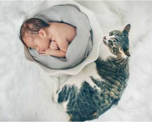 深圳哪里招代孕_深圳代孕需要做什么准备【父母的梦想，生命的摇篮】