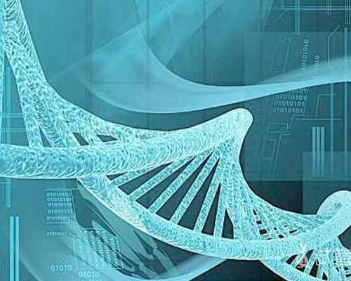 深圳专业供卵价格表,【深圳专业供卵价格表】八号排卵,现在官方,终于等到