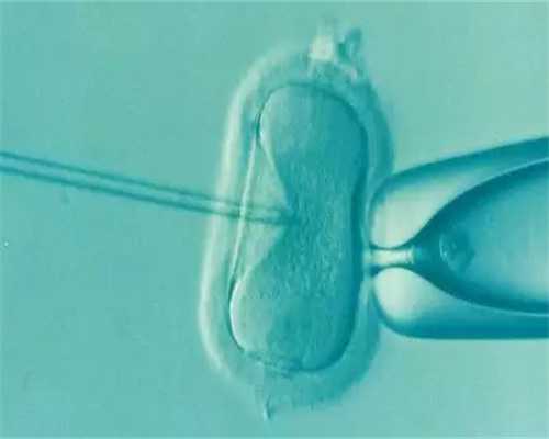 深圳代孕多少钱-深圳代孕那个最权威-深圳为何禁止商业代孕