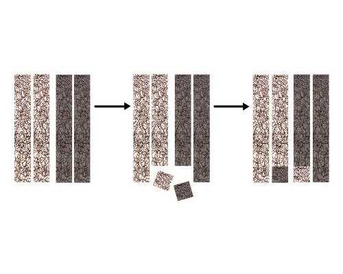 男性多吃酸性生女孩几率高呢_男女双方都是酸性体质生男孩几率