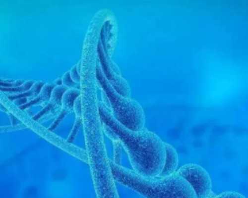 深圳代孕妈妈_深圳代孕微信群_深圳代孕双胞胎多少钱