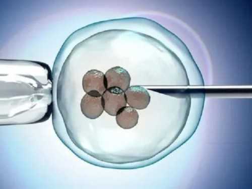 代生双胞胎电话_代孕妇得蛲虫病怎么治疗