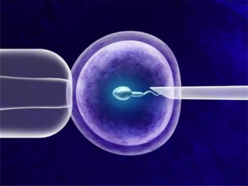深圳借腹生子_深圳找年轻女子代孕_验孕尿液多长时间有效
