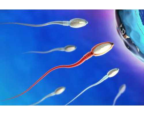 深圳人工代孕书籍-深圳找俄罗斯女人代孕多少钱【博领新生，助你好孕】